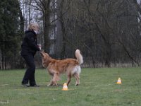 Bendix Obedience Workshop beim VdH Mauer 2016 (93)